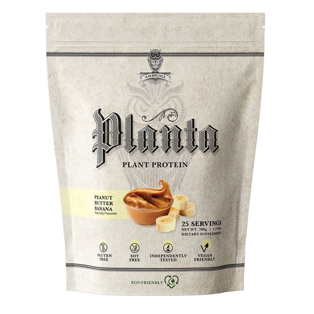 Ambrosia Planta