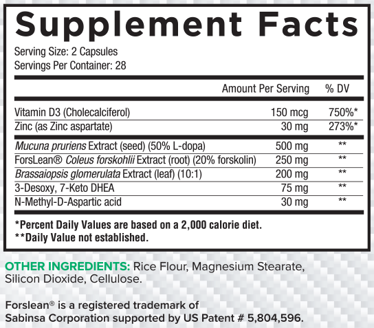 Core Nutritionals Alpha– The Nutrition Corners